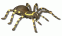 [thumbnail of Spider preview.jpg]